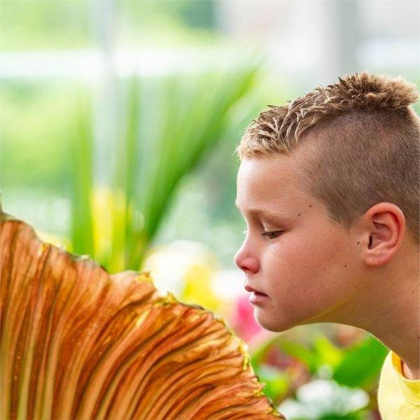 A person leans into to sniff a red-colored flower.